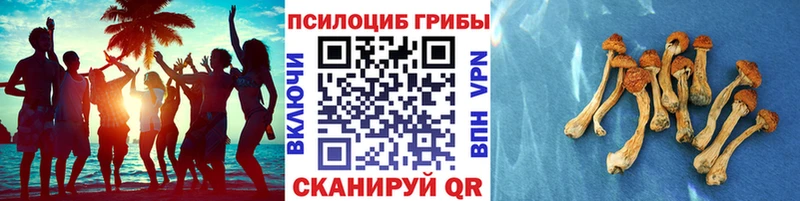 Псилоцибиновые грибы MAGIC MUSHROOMS  Вышний Волочёк 